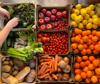 Toplu Sipariş & Kurumsal Tedarik